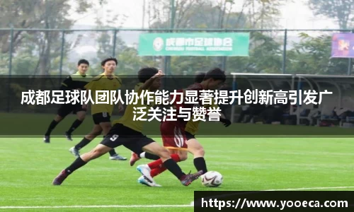 成都足球队团队协作能力显著提升创新高引发广泛关注与赞誉