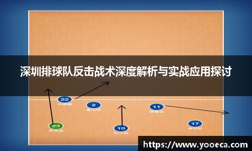 深圳排球队反击战术深度解析与实战应用探讨