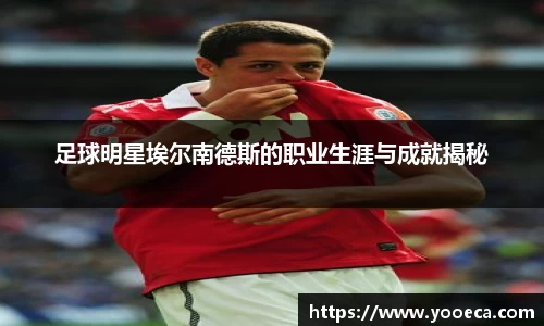 足球明星埃尔南德斯的职业生涯与成就揭秘